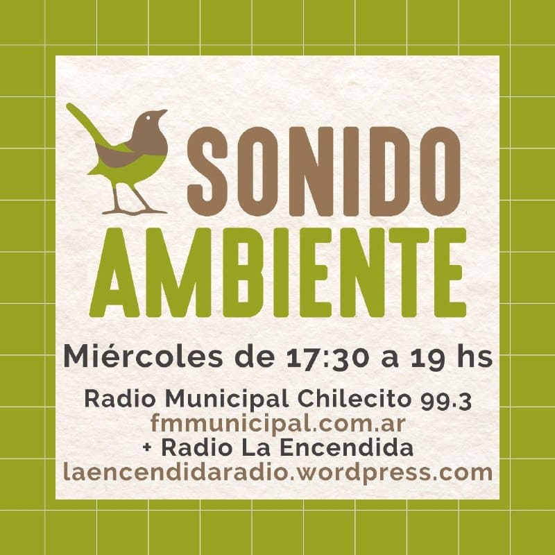 Sonido Ambiente